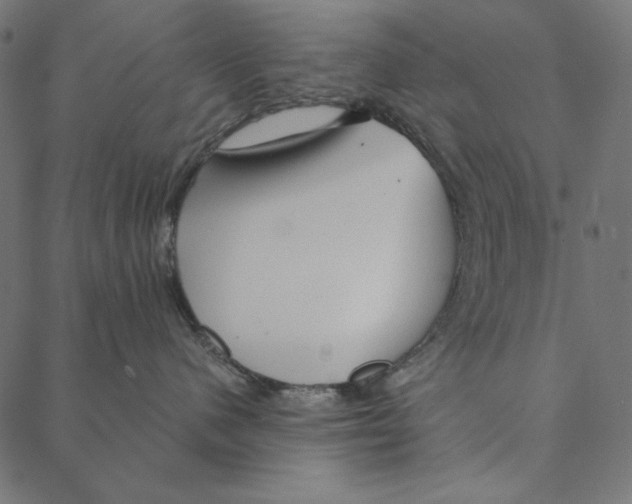 X0000087380480200705181247