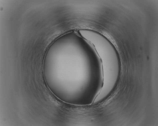 X0000087380481200705181246