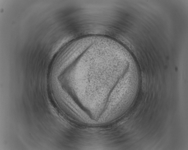 X0000087380482200705181246