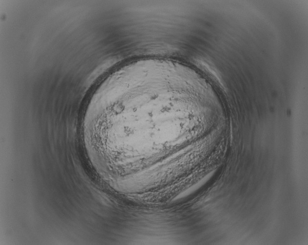 X0000087380483200705181246