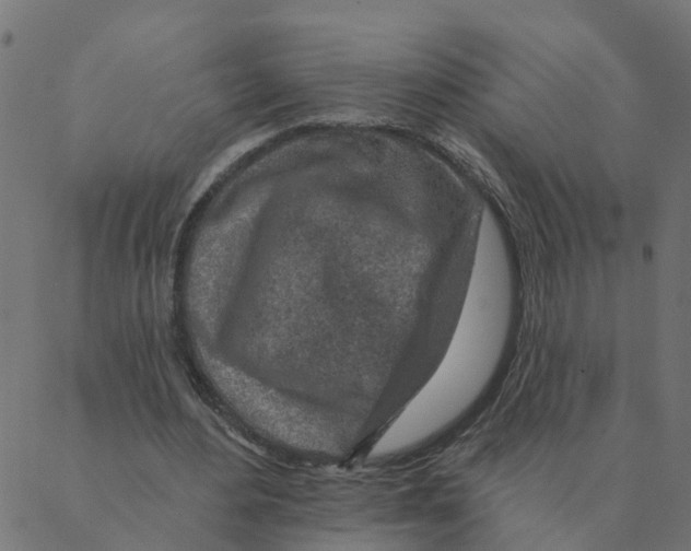 X0000087380484200705181246