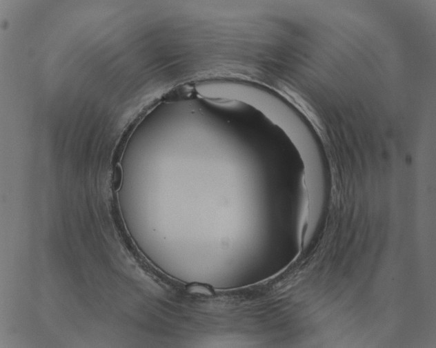 X0000087380485200705181246