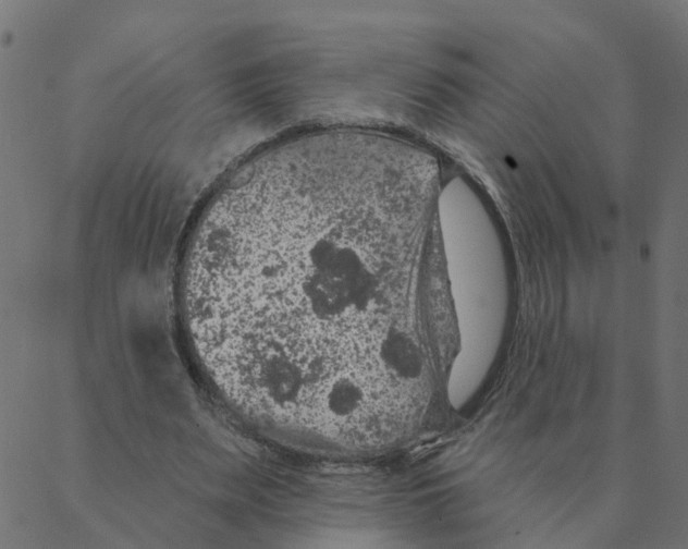 X0000087380487200705181246