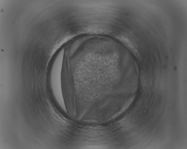 X0000087380488200705181246