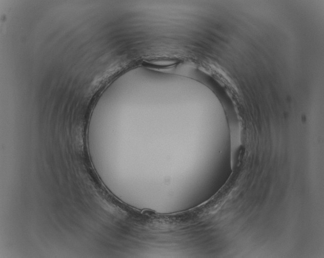 X0000087380489200705181246