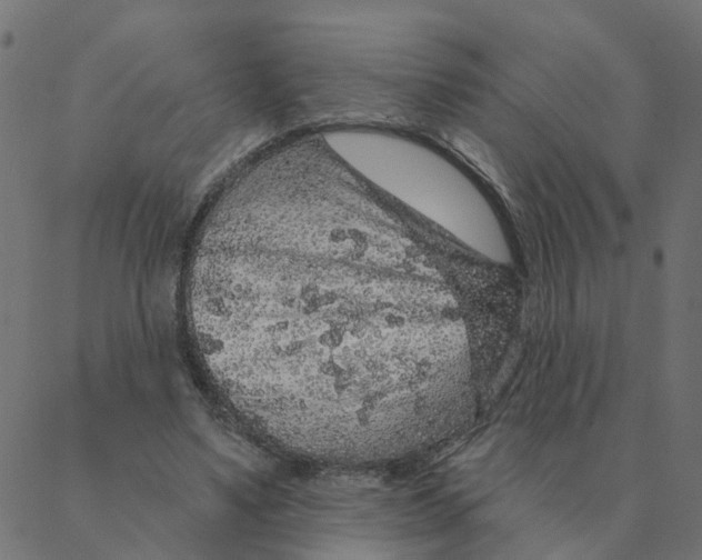 X0000087380491200705181246