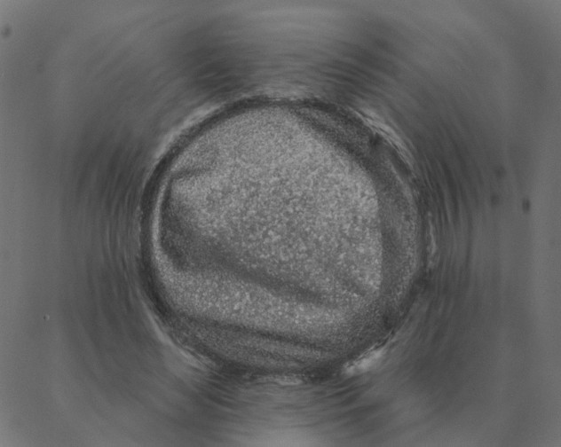 X0000087380492200705181246