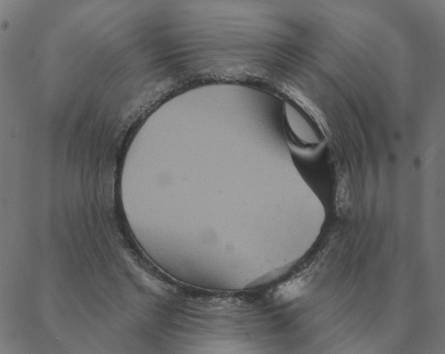 X0000087380493200705181246