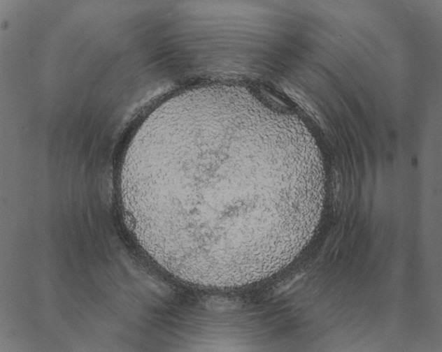 X0000087380494200705181246