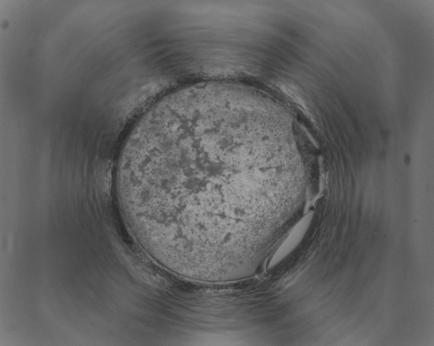 X0000087380495200705181246