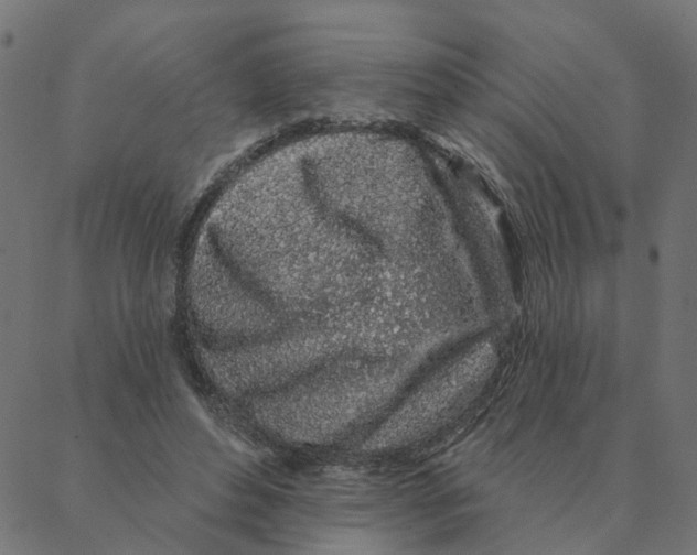 X0000087380496200705181246