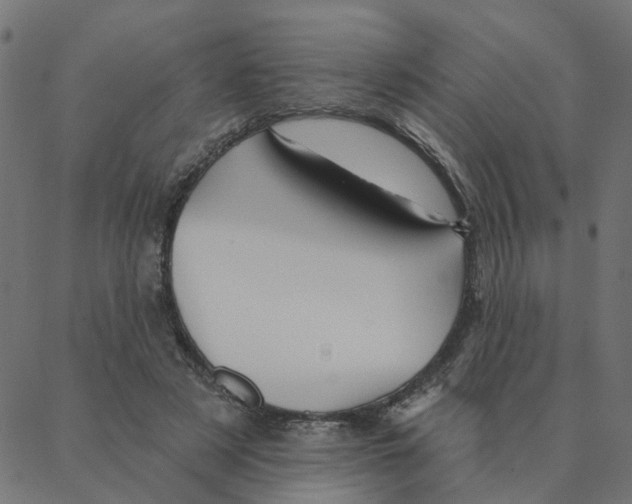 X0000087380497200705181246