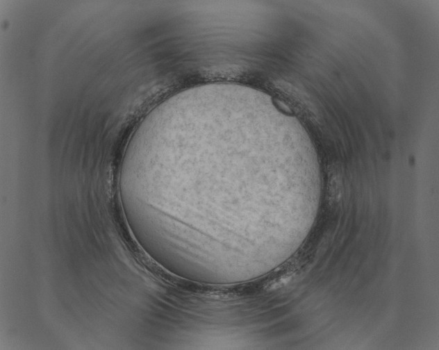 X0000087380498200705181246