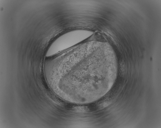 X0000087380499200705181246