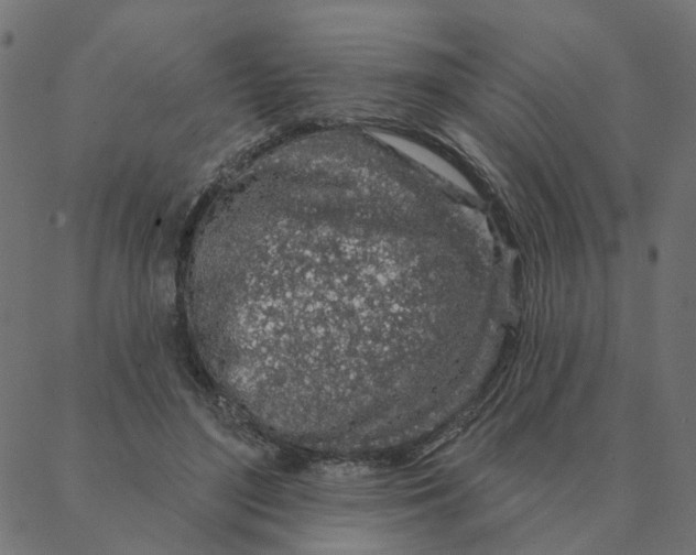 X0000087380500200705181246