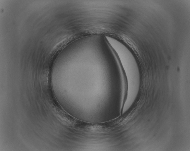 X0000087380501200705181246