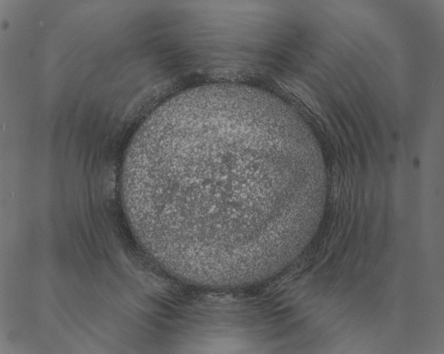 X0000087380502200705181246