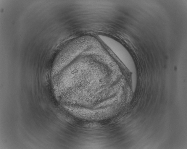 X0000087380503200705181246