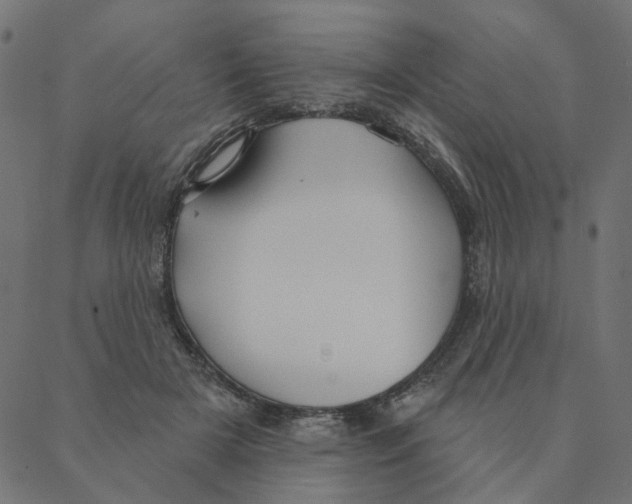 X0000087380505200705181246