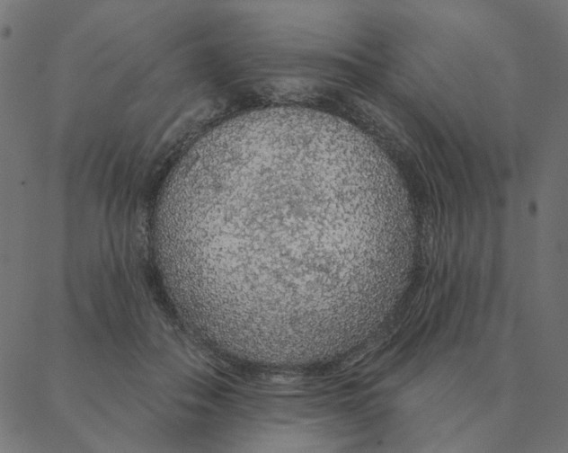 X0000087380506200705181245