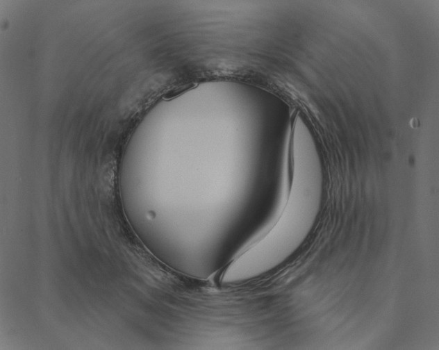 X0000087380509200705181245