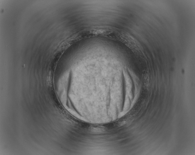 X0000087380510200705181245