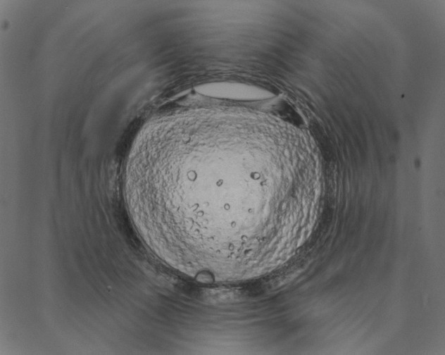 X0000087380511200705181245