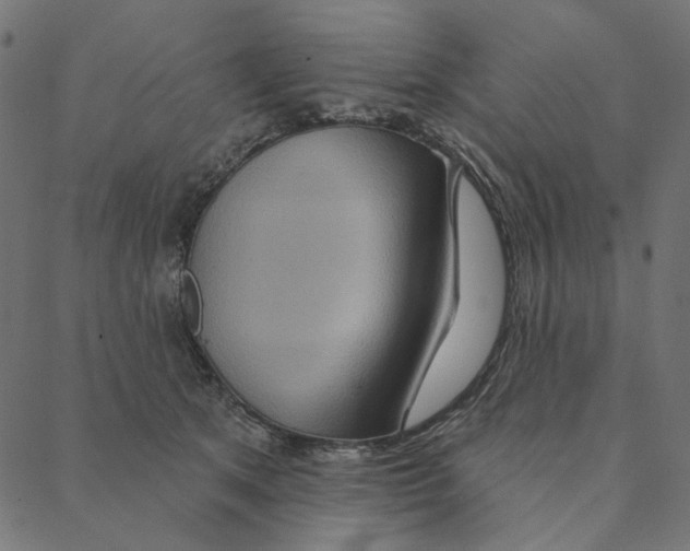 X0000087380513200705181245