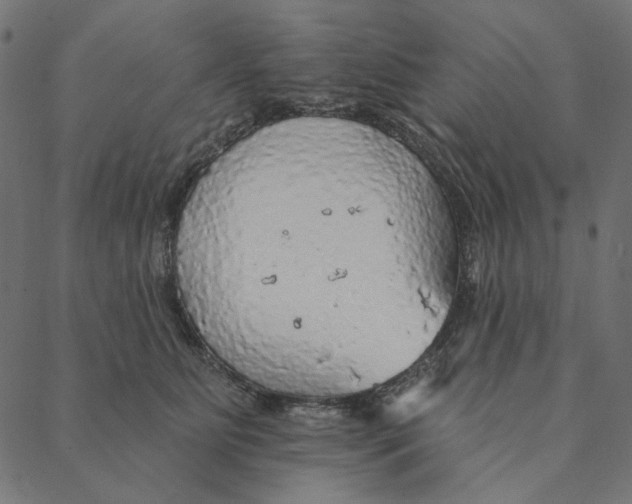 X0000087380515200705181245