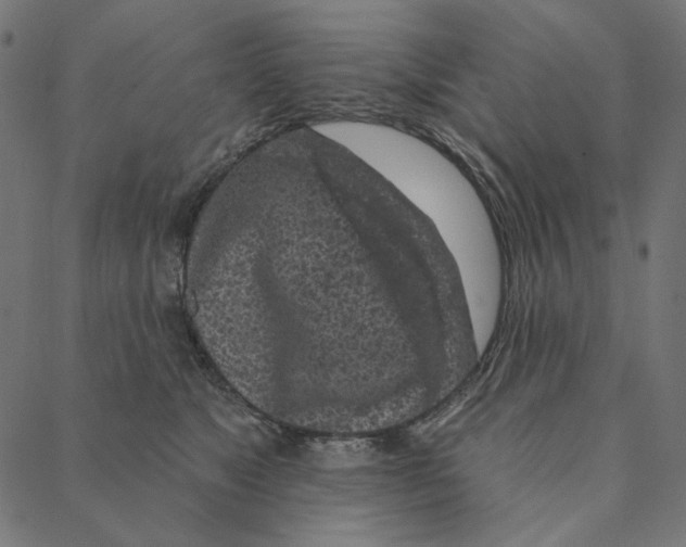 X0000087380517200705181245