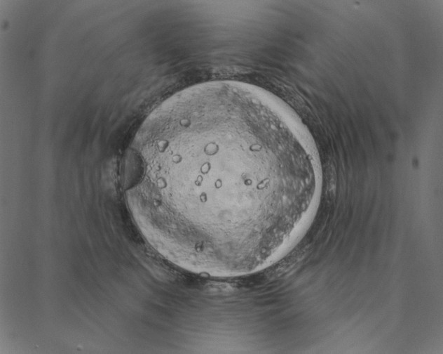 X0000087380519200705181245