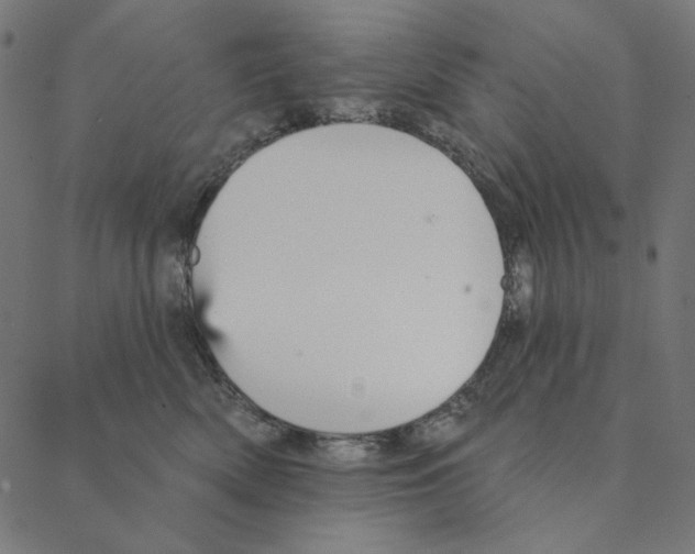 X0000087380522200705181245