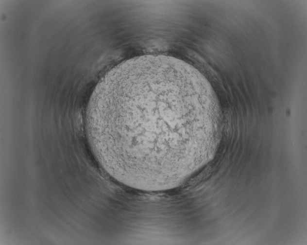 X0000087380523200705181245