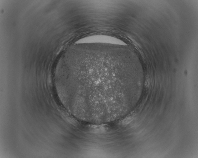 X0000087380524200705181245