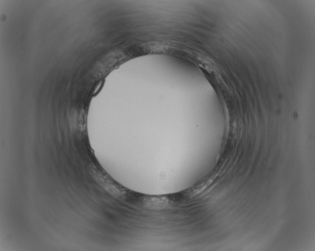 X0000087380525200705181245