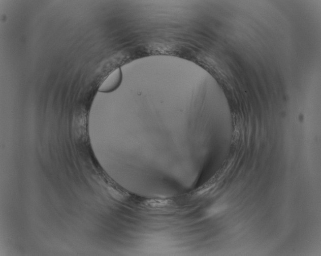 X0000087380526200705181245