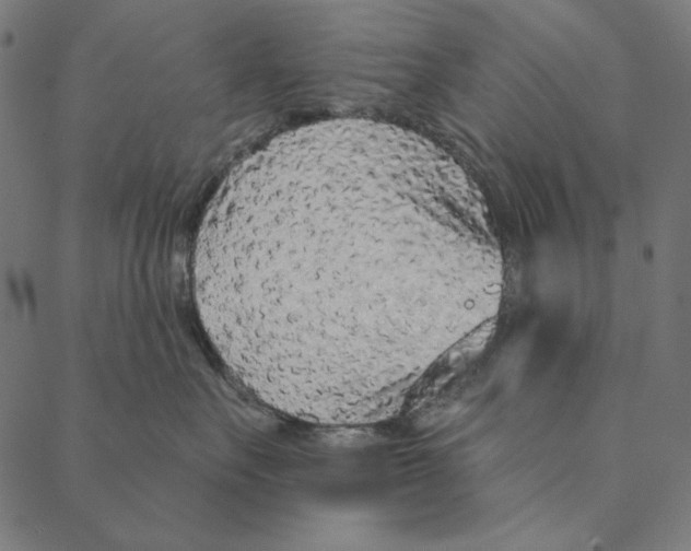 X0000087380527200705181245