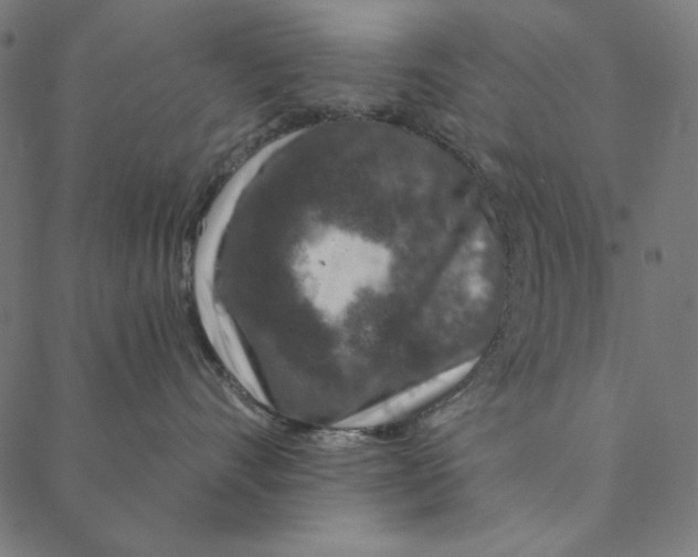 X0000087380528200705181245