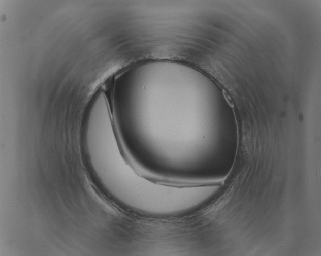 X0000087380530200705181244