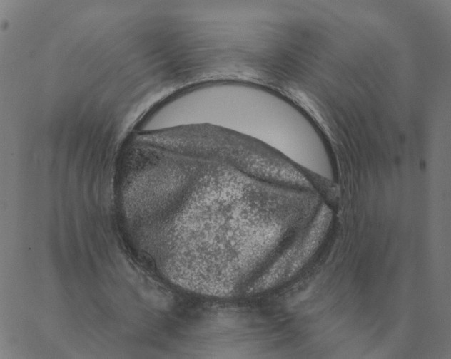 X0000087380531200705181244