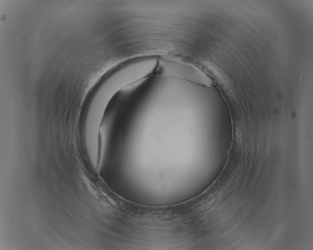 X0000087380532200705181244