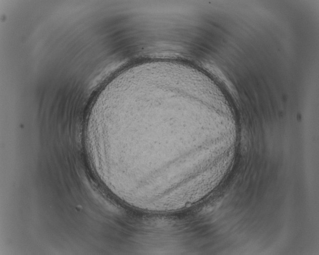 X0000087380533200705181244