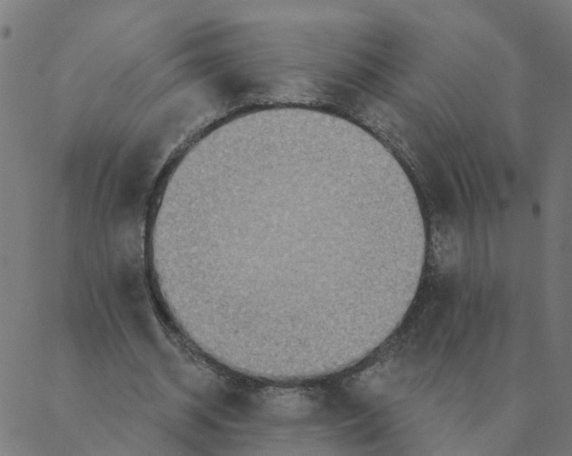 X0000087380534200705181244