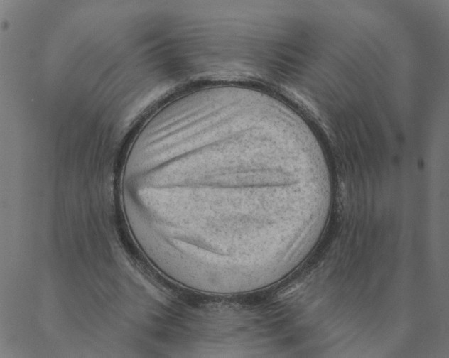 X0000087380535200705181244