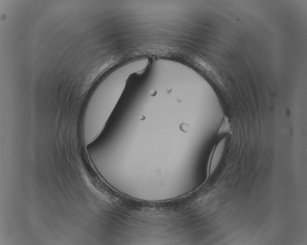 X0000087380538200705181245