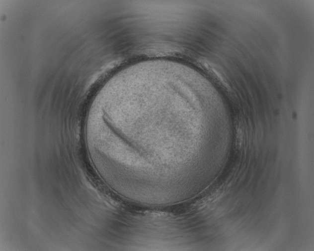 X0000087380539200705181245