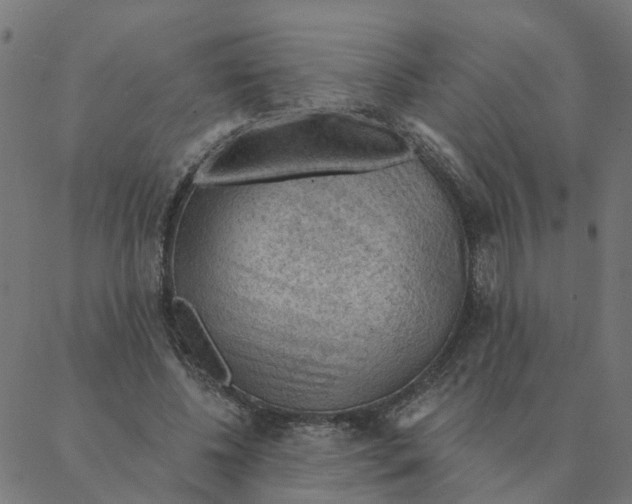 X0000087380540200705181245