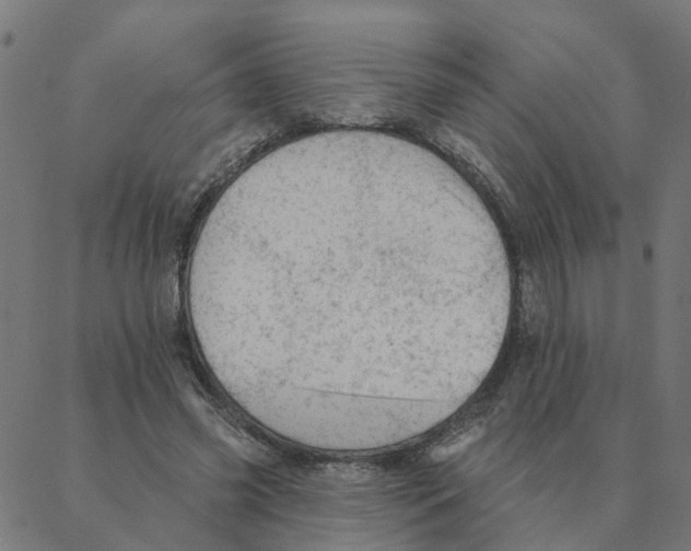 X0000087380541200705181245