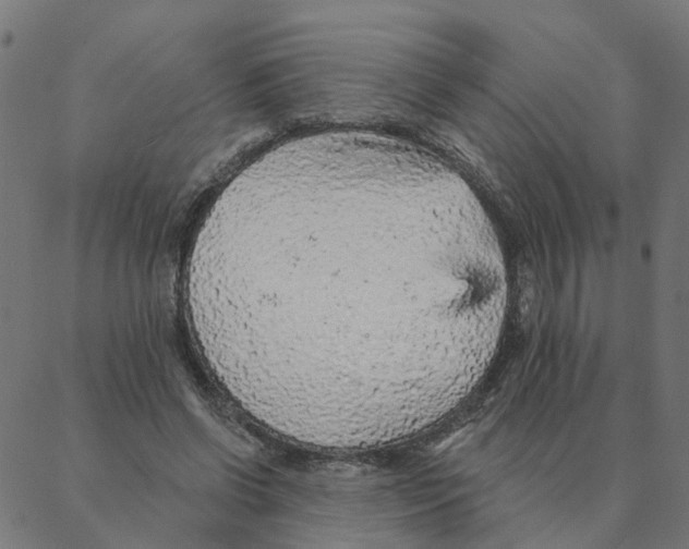 X0000087380542200705181245