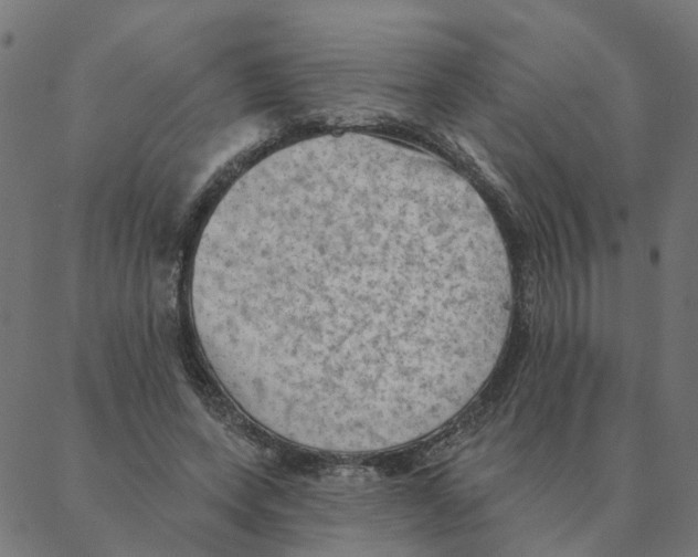 X0000087380543200705181245